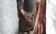Vorschaubild 6