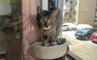 Vorschaubild 8
