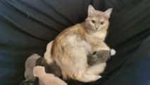 Vorschaubild 7