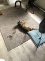 Vorschaubild 6