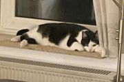Vorschaubild 4