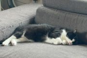 Vorschaubild 8