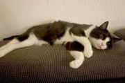 Vorschaubild 6