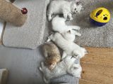 Vorschaubild 5