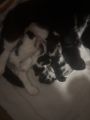 Vorschaubild 3