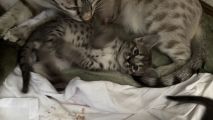 Vorschaubild 5