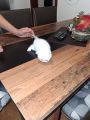 Vorschaubild 2
