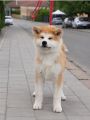 Vorschaubild 8