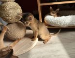Vorschaubild 5