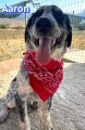 Vorschaubild 4
