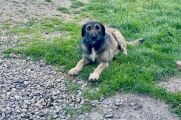 Vorschaubild 6