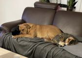 Vorschaubild 2