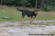 Vorschaubild 5