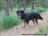 Vorschaubild 1