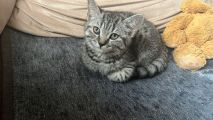 Vorschaubild 4