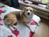 Vorschaubild 1