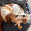 Vorschaubild 5