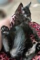 Vorschaubild 6