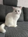 Vorschaubild 5