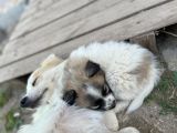 Vorschaubild 9