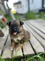 Vorschaubild 7