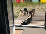 Vorschaubild 10