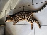 Vorschaubild 6
