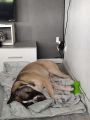 Vorschaubild 8