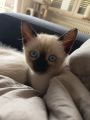Vorschaubild 7