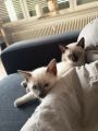 Vorschaubild 9