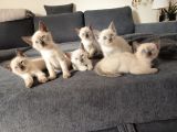 Vorschaubild 6