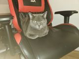Vorschaubild 4