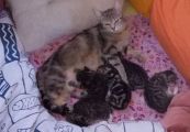 Vorschaubild 3
