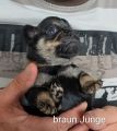 Vorschaubild 6