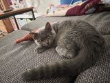 Vorschaubild 2