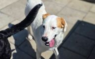 Vorschaubild 6