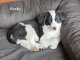 Vorschaubild 5