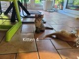 Vorschaubild 5