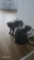 Vorschaubild 3