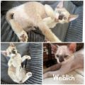 Vorschaubild 2