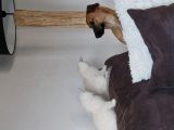 Vorschaubild 3