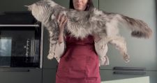 Vorschaubild 4