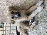 Vorschaubild 8