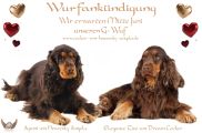 Vorschaubild 7