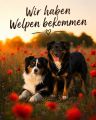 Vorschaubild 7