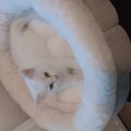 Vorschaubild 8