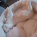 Vorschaubild 5
