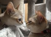Vorschaubild 8