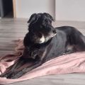 Vorschaubild 7
