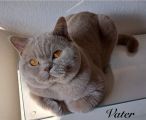 Vorschaubild 9